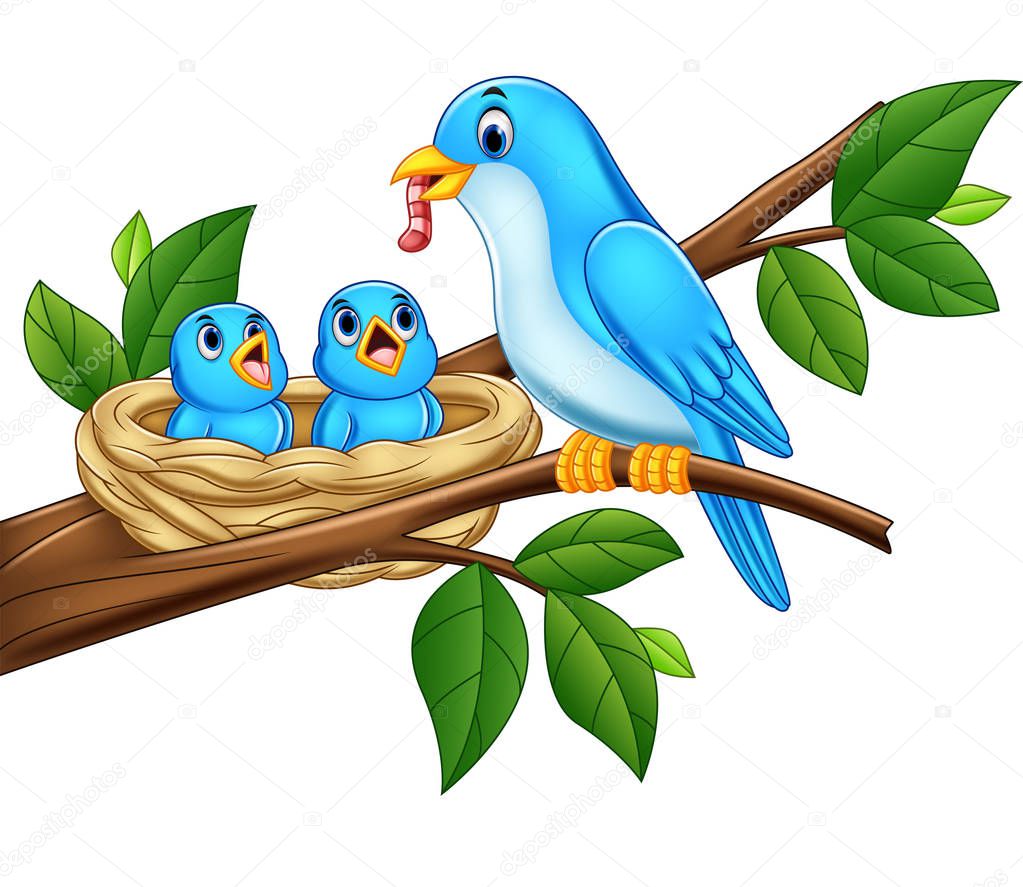 Vector illustration of Mother blue bird feeding babies in a nest