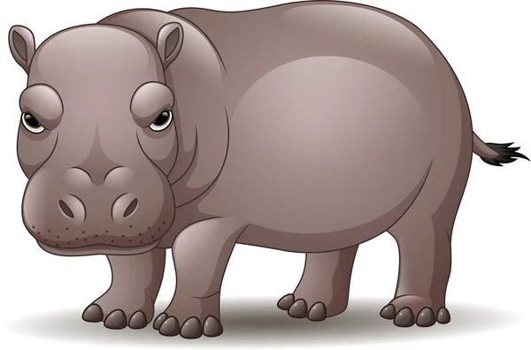 Dessin Animé Drôle Hippopotame Isolé Sur Fond Blanc — Image vectorielle