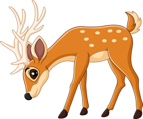 Vector Illustration Cute Deer Cartoon — Stock Vector