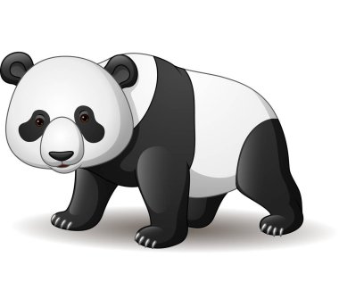 Beyaz arka plan üzerinde izole karikatür panda vektör çizim