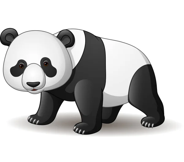 Ilustração Vetorial Panda Dos Desenhos Animados Isolado Sobre Fundo Branco — Vetor de Stock