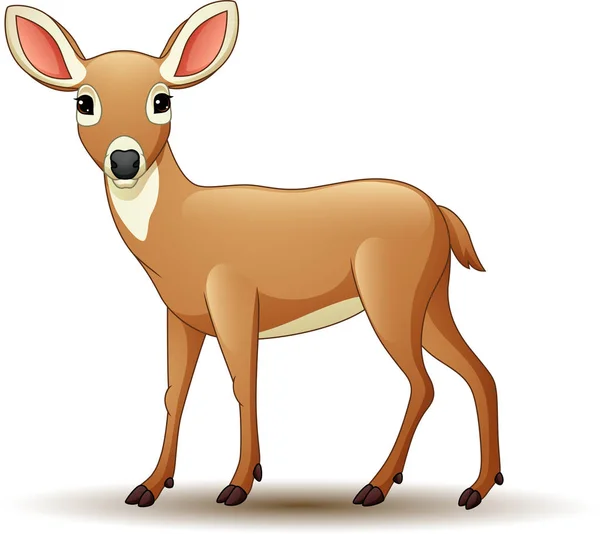 Vector Illustration Cartoon Deer Isolated White Background — Stock Vector