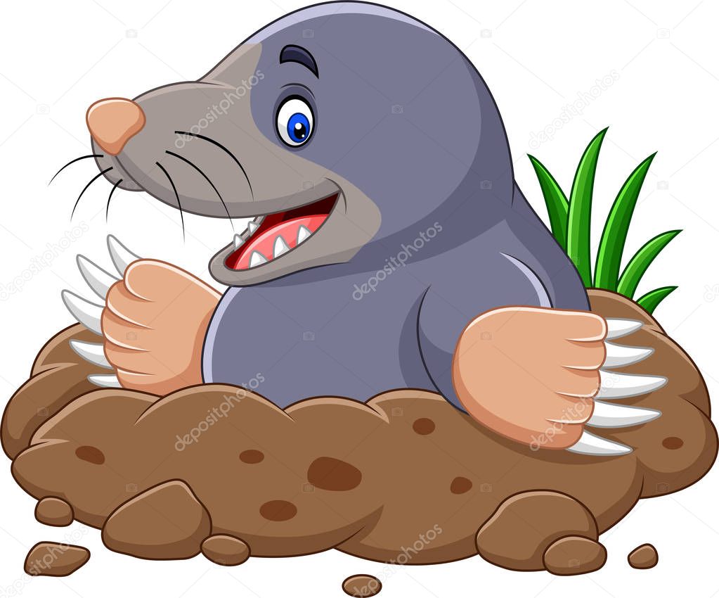 Vector illustration of Cartoon mole come out of the hole