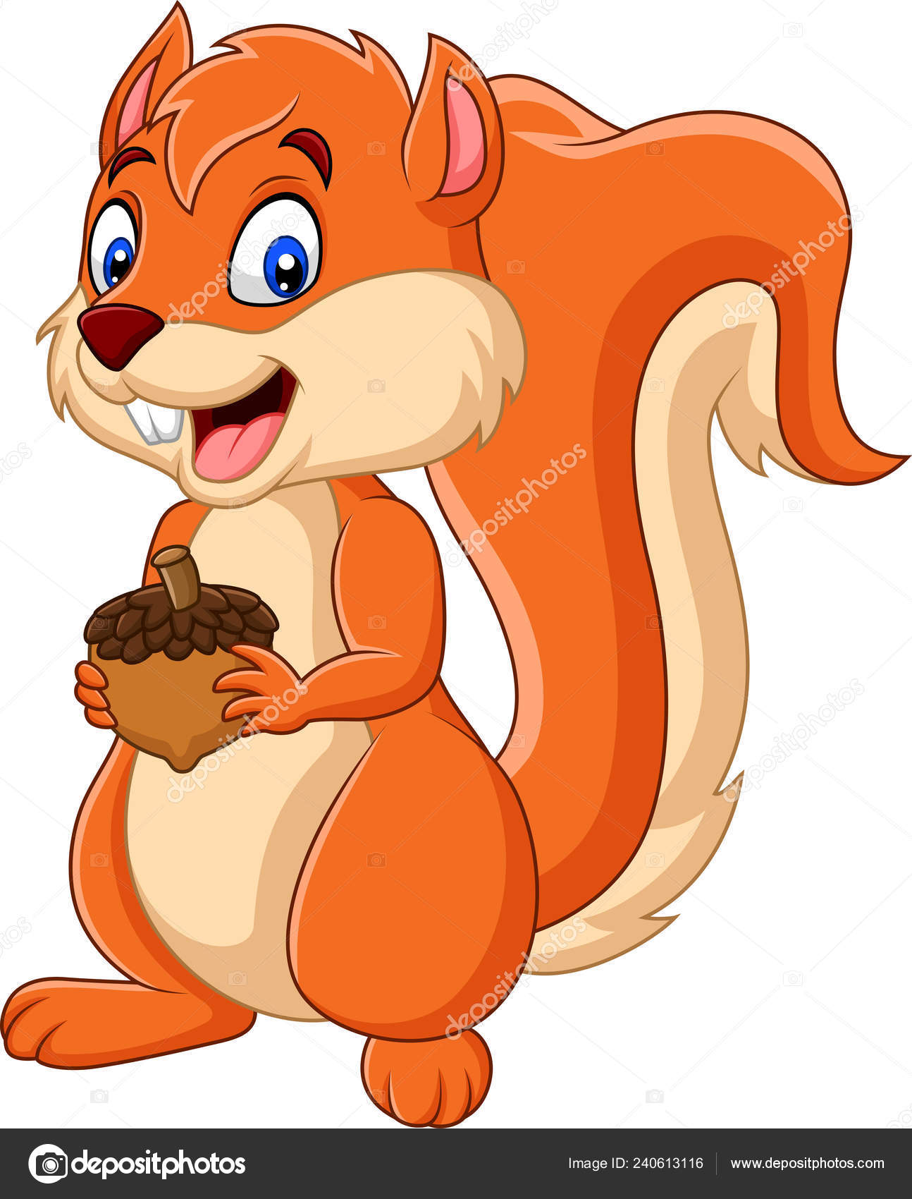 Squirrel cartoon Vector Art Stock Images | Depositphotos Squirrel cartoon Vector Art Stock Images | Depositphotos