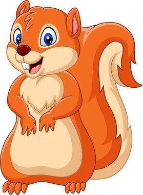 Vektör çizim karikatür mutlu sincap