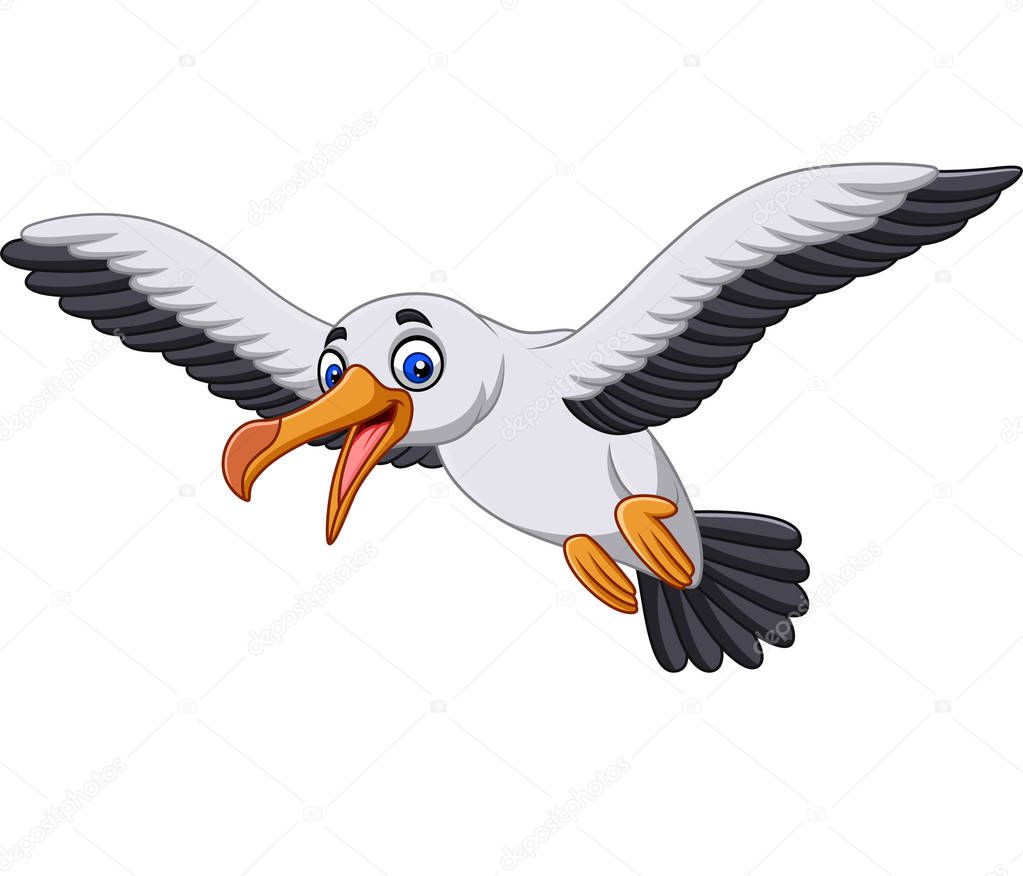 Vector illustration of Cartoon albatross bird flying