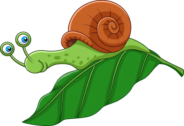 Illustration Vectorielle Escargot Drôle Bande Dessinée Sur Une Feuille — Image vectorielle