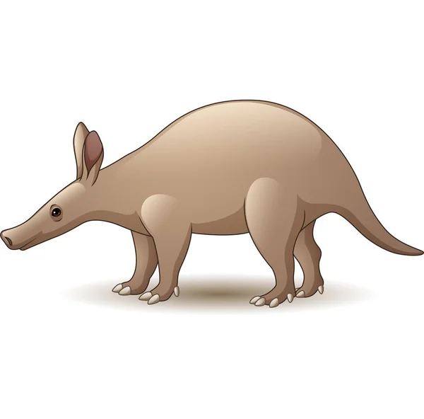 Ilustración Vectorial Cartoon Aardvark Aislado Sobre Fondo Blanco — Vector de stock