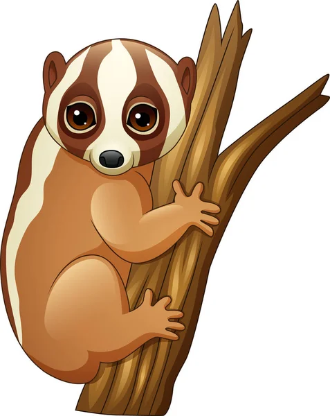 Vektor Illustration Von Cartoon Slow Loris Auf Dem Ast — Stockvektor