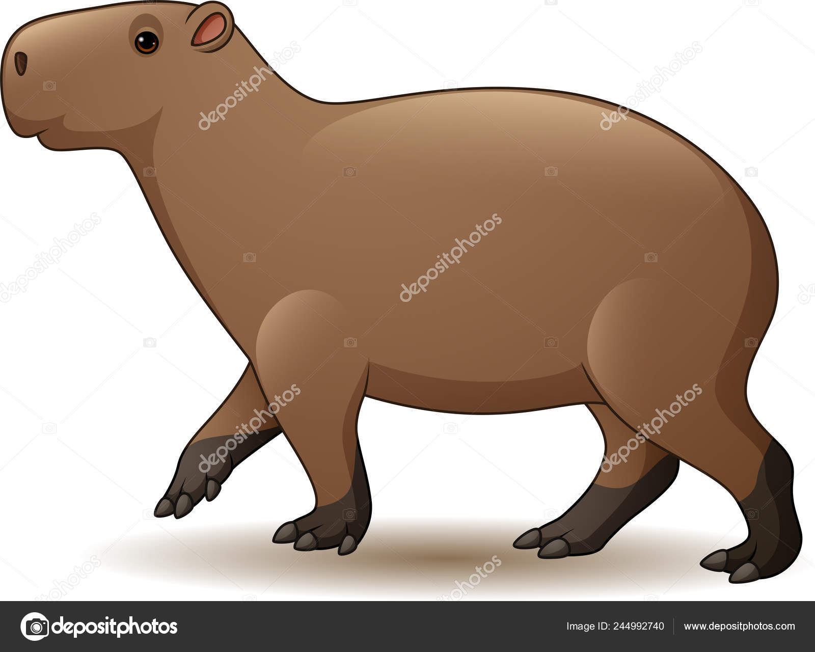 Capivara animal desenho animado ilustração imagem vetorial de