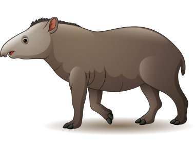 Amerika tapiri beyaz arka plan üzerinde izole vektör çizim