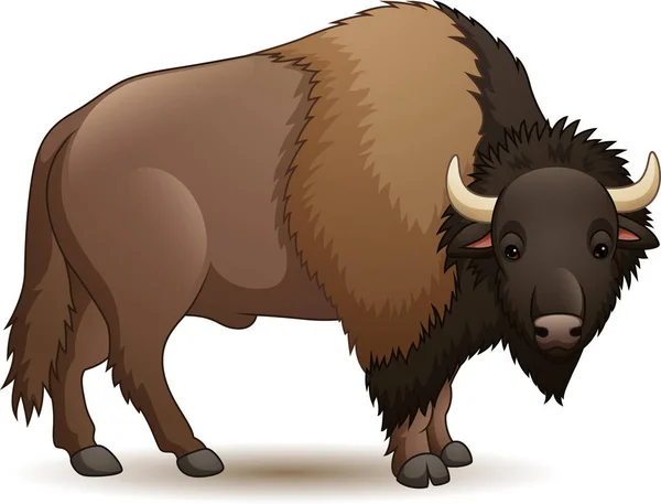 Vektorové Ilustrace Bison Izolovaných Bílém Pozadí — Stockový vektor