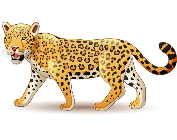 Ilustração Vetorial Leopardo Dos Desenhos Animados Isolado Sobre Fundo Branco —  Vetores de Stock