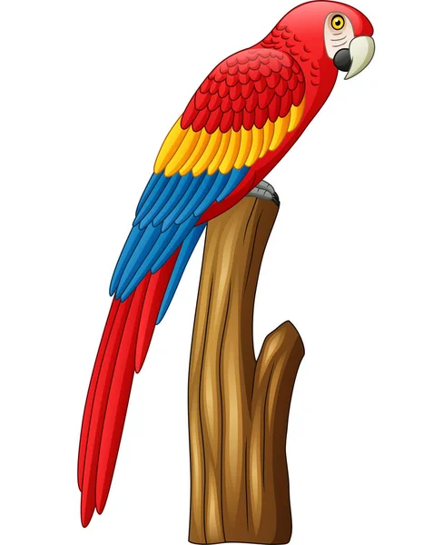 Ilustración Vectorial Dibujos Animados Lindo Pájaro Guacamayo — Vector de stock