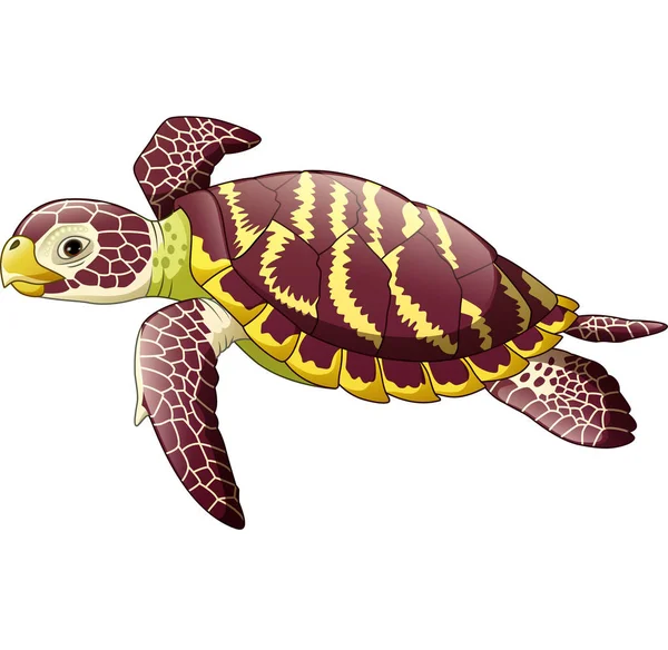 Vector Illustration Cartoon Sea Turtle Isolated White Background — Stock Vector