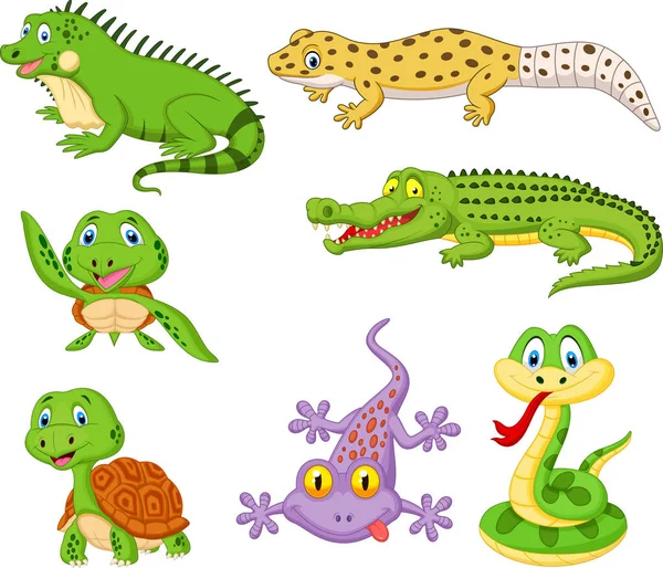 Vector Ilustración Colección Reptiles Anfibios Dibujos Animados — Vector de stock
