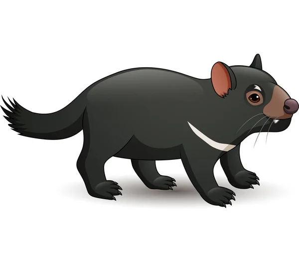 Vektor Ilustrasi Tasmanian Devil Diisolasi Pada Latar Belakang Putih - Stok Vektor