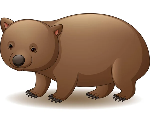 Vektorillustration Wombat Isolerad Vit Bakgrund — Stock vektor