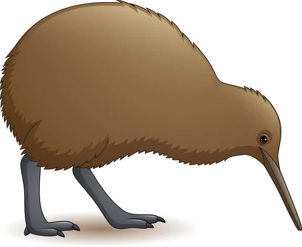 Vektorillustration Des Lustigen Kiwi Vogels — Stockvektor