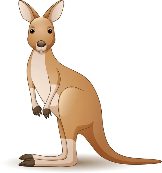 Vector Illustration Kangaroo Isolated White Background — Stock Vector