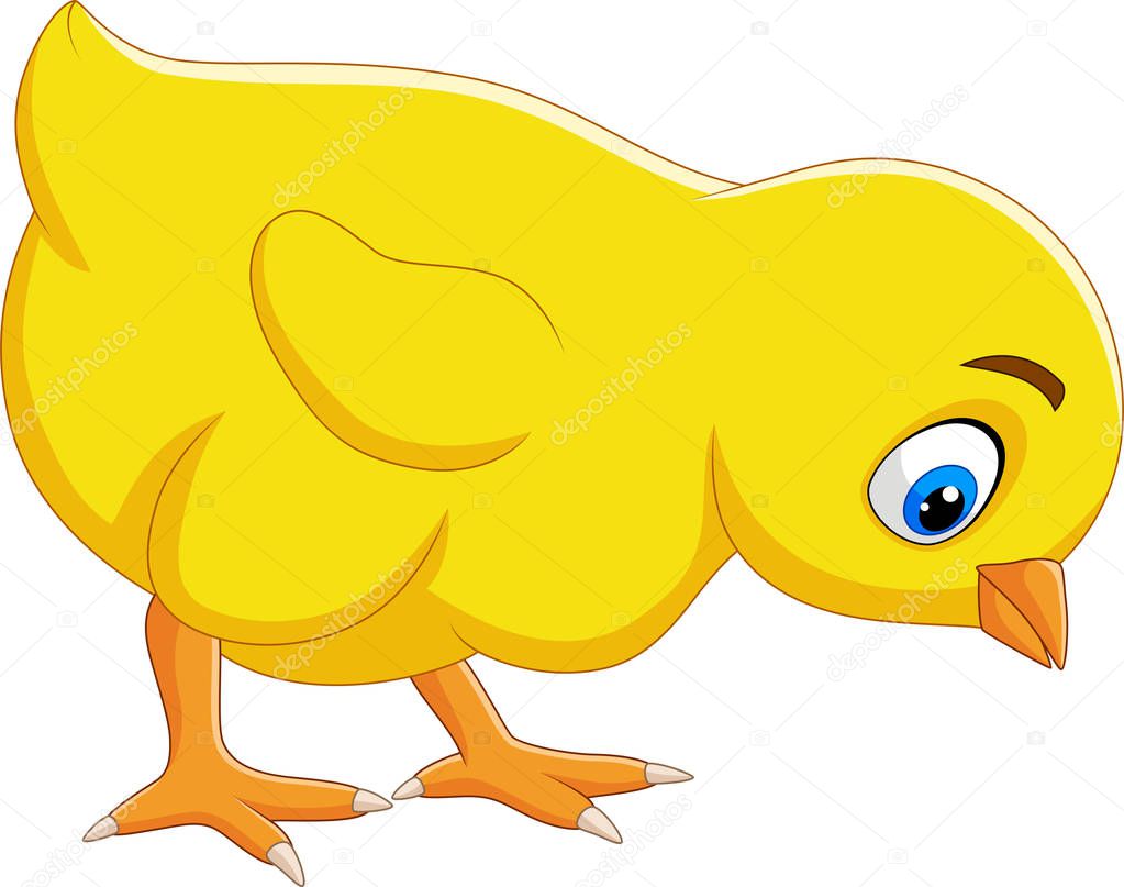 Vector illustration of Cartoon funny baby chick isolated on white background