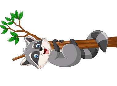 Ağaç dalı üzerinde Karikatür Rakun Vektör illüstrasyon