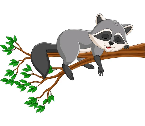 Wektor Ilustracji Cartoon Raccoon Spanie Gałęzi Drzewa — Wektor stockowy