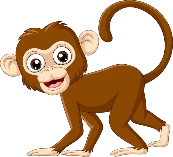 Wektor Ilustracji Cute Baby Monkey Białym Tle — Wektor stockowy