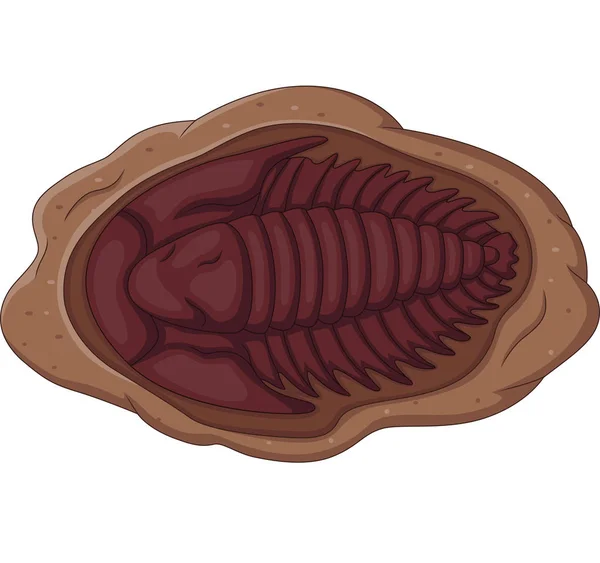 Vektorová Ilustrace Trilobitového Zkamenělina Bílém Pozadí — Stockový vektor