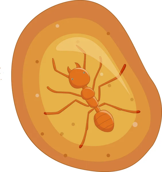 Vector Illustration Ant Yellow Amber Fossil — Stock Vector