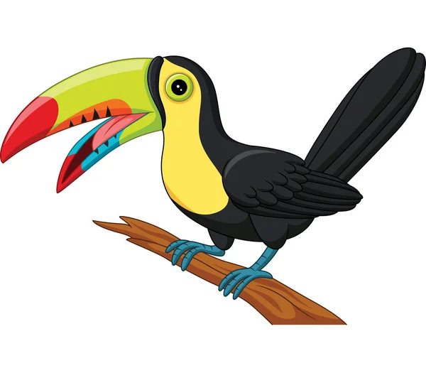 Vektor Illustration Tecknad Toucan Bird Isolerad Vit Bakgrund — Stock vektor