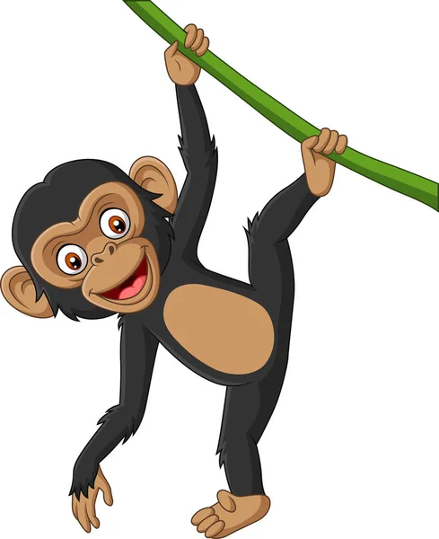 Векторна Ілюстрація Мультяшного Шимпанзе Висить Гілці Дерева — стоковий вектор