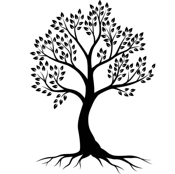 Ilustración Vectorial Silueta Del Árbol Sobre Fondo Blanco — Vector de stock