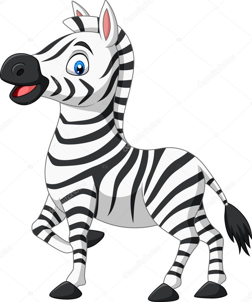 Vector illustration of Cute baby zebra posing isolated on white background