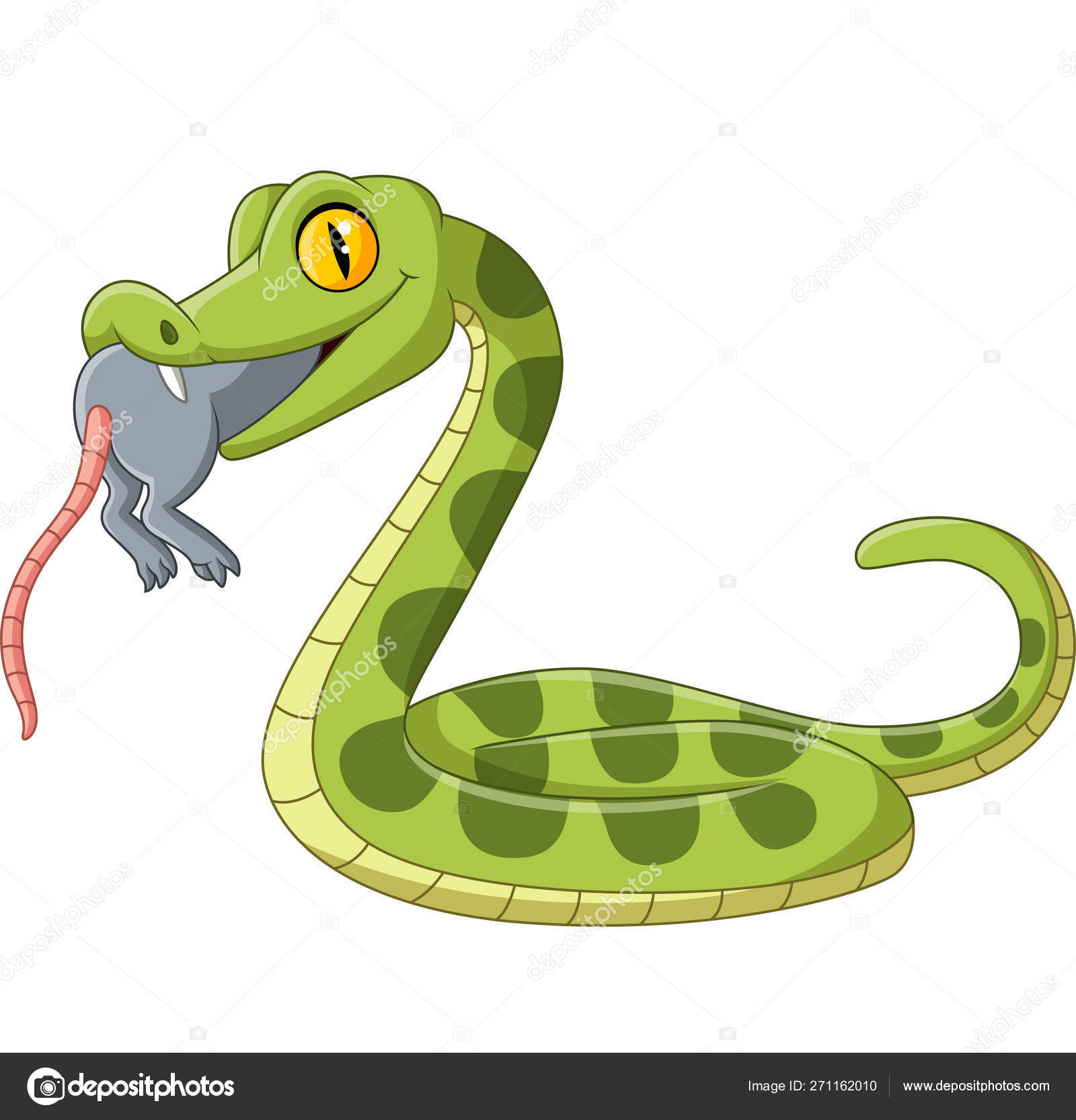 Vector Illustration Cartoon Green Snake Eating Mouse Stock Vector Image by ©tigatelu #271162010 Vector Illustration Cartoon Green Snake Eating Mouse Stock Vector Image by ©tigatelu #271162010