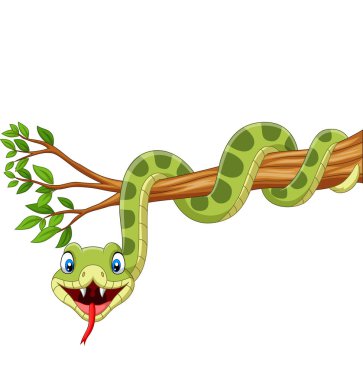 Vektör çizim karikatür yeşil yılan ağaç dalı