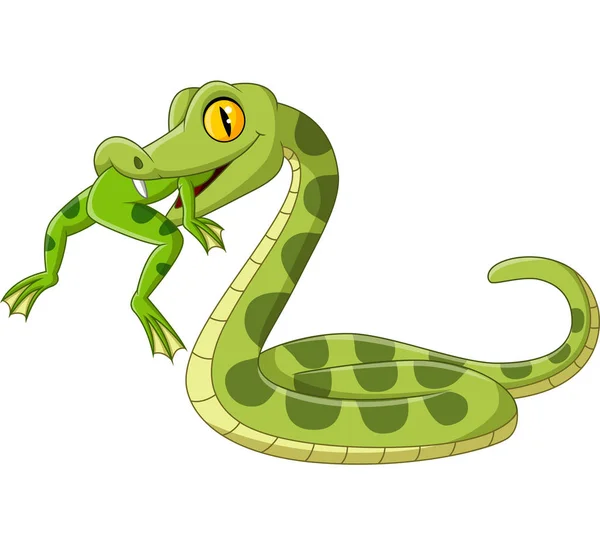 Ilustración Vectorial Serpiente Verde Dibujos Animados Comiendo Una Rana — Archivo Imágenes Vectoriales