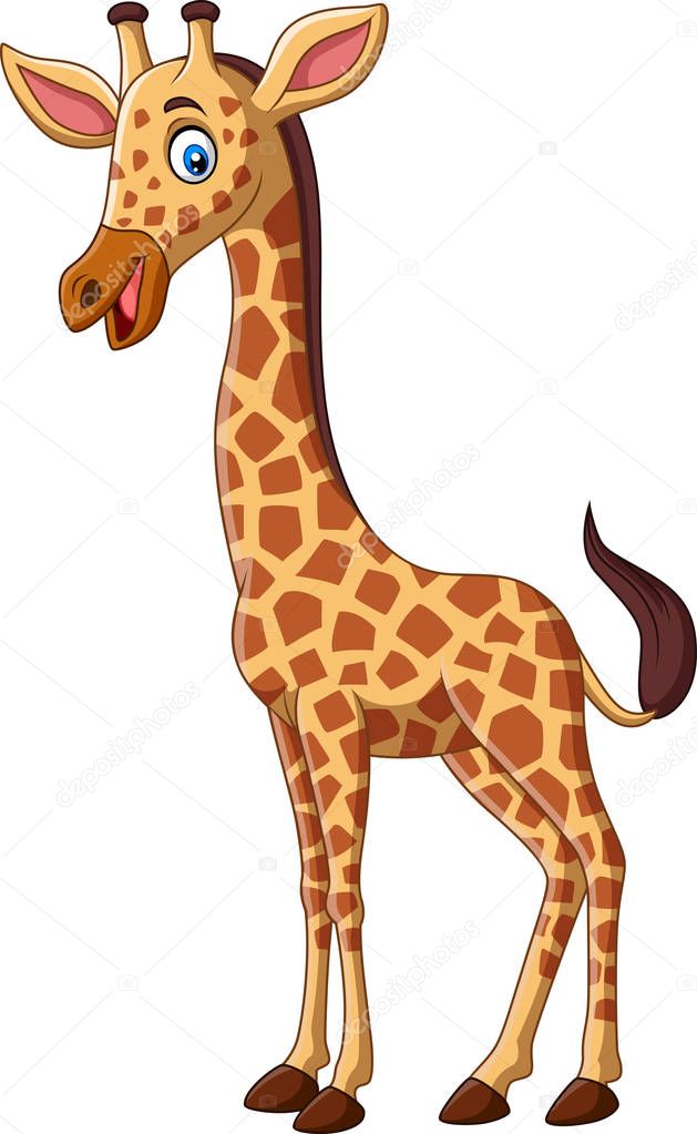 Vector illustration of Cartoon giraffe isolated on white background