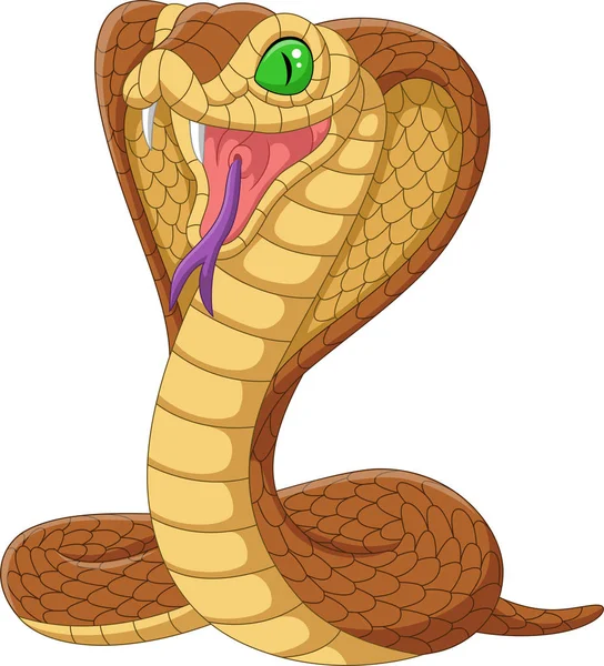 Ilustración Vectorial Serpiente Cobra Rey Dibujos Animados Sobre Fondo Blanco — Vector de stock