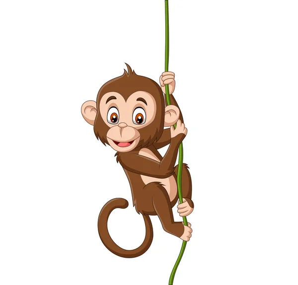 Vector Illustration Cartoon Baby Monkey Hanging Tree Branch — Stock Vector