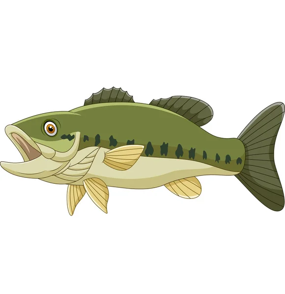 Vector Illustration Cartoon Bass Fish Isolated White Background — Stock Vector