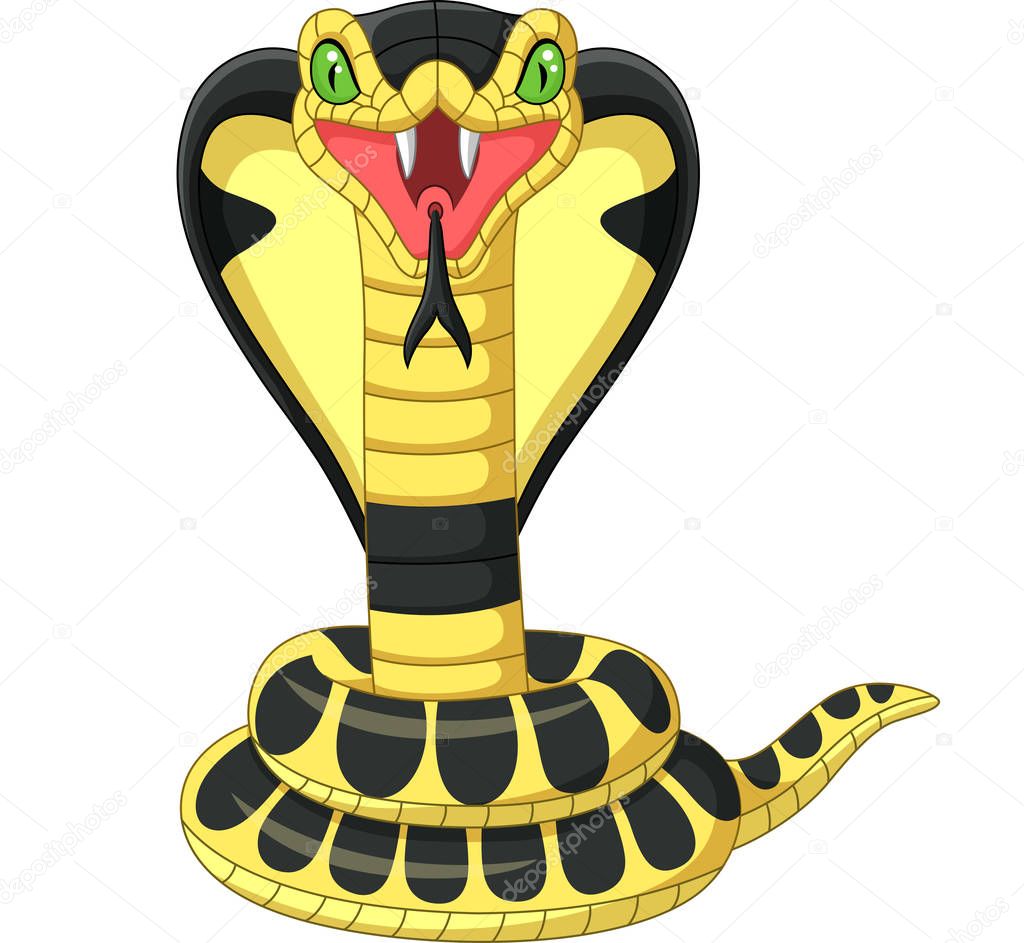 Vector illustration of Cartoon king cobra snake mascot