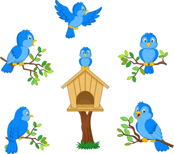 Vector Illustratie Van Set Van Cartoon Blauwe Vogel Witte Achtergrond — Stockvector
