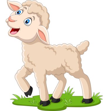 Vektör Illustration karikatür mutlu kuzu çim üzerinde
