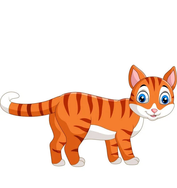 Vector Illustration Cartoon Funny Cat Isolated White Background — Stock Vector