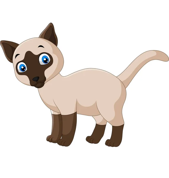 Vector Illustratie Van Cartoon Cute Siamese Kat Een Witte Achtergrond — Stockvector