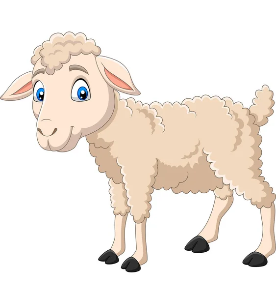 白い背景に孤立した漫画幸せな子羊のベクトルイラスト — ストックベクタ