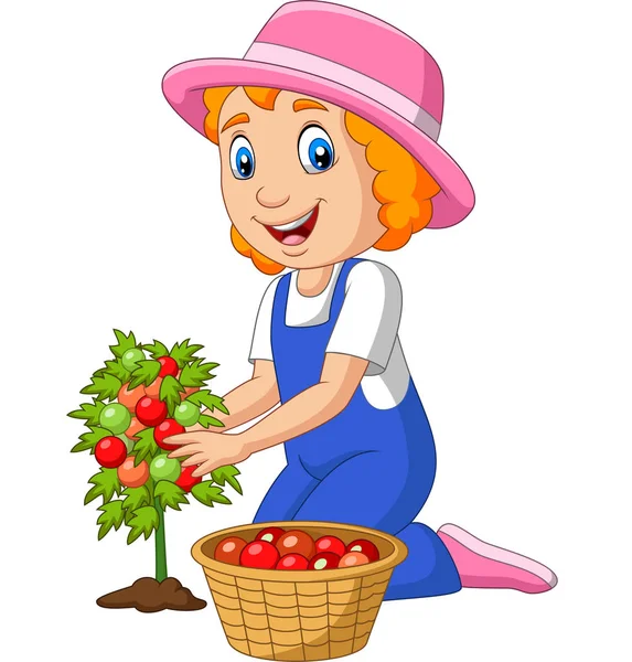 Vector Illustration Cartoon Little Girl Harvesting Tomatoes — Stock Vector