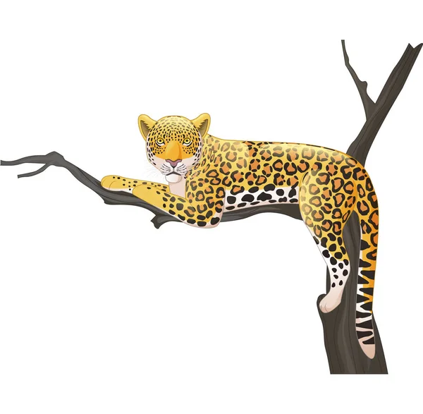 木の枝に横たわる漫画ヒョウのベクトルイラスト — ストックベクタ