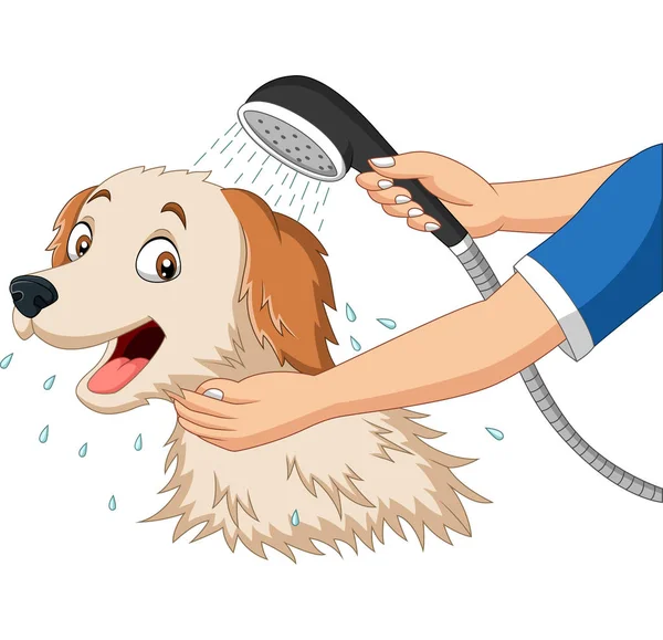 Vektorillustration Des Cartoon Hundes Beim Baden Mit Dusche — Stockvektor